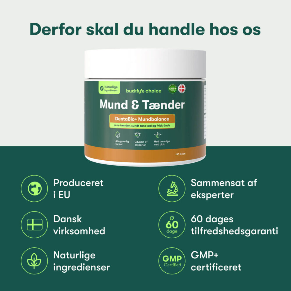 Mund & Tænder