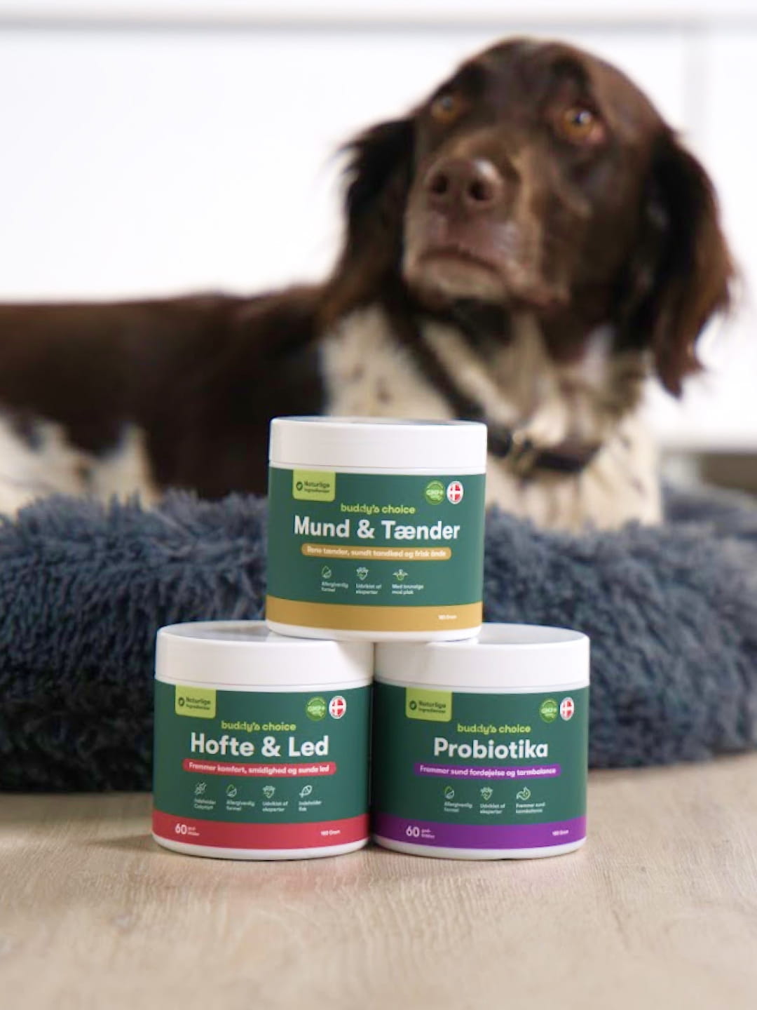 Tre grønne Buddys Choice hundetilskud: Mund & Tænder, Hofte & Led og Probiotika med brun-hvid hund i baggrunden