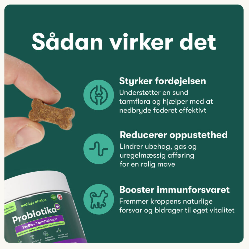 Probiotika+