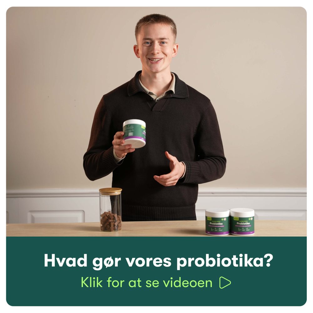 Probiotika+