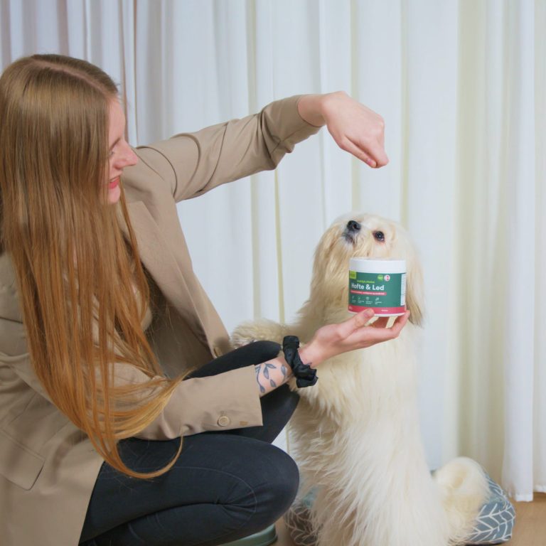 Kvinde holder beholder med Hofte & Led kosttilskud mens lille hvid hund står på bagben og ser op