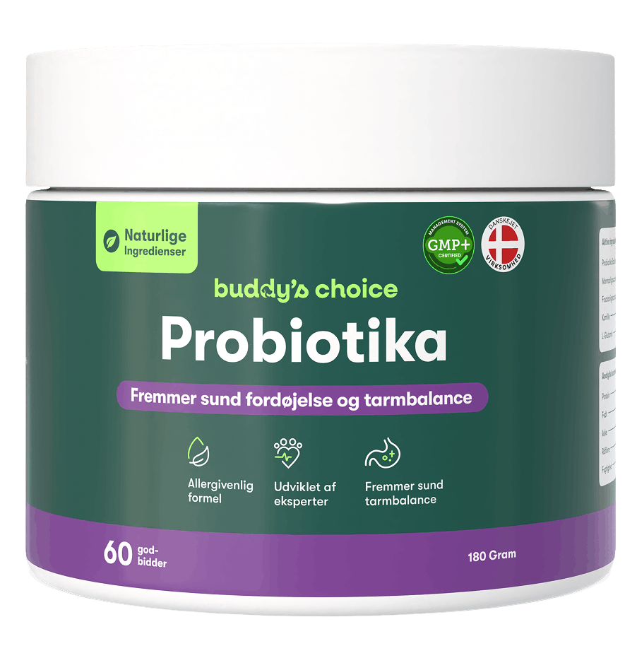 Buddys Choice Probiotika krukke, 60 godbidder, naturlige ingredienser - fremmer sund fordøjelse og tarmbalance