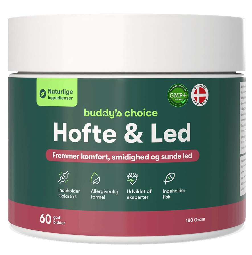 Buddy's Choice Hofte & Led kosttilskud i grønt bæger, 60 godbidder, fremmer komfort og smidige, sunde led