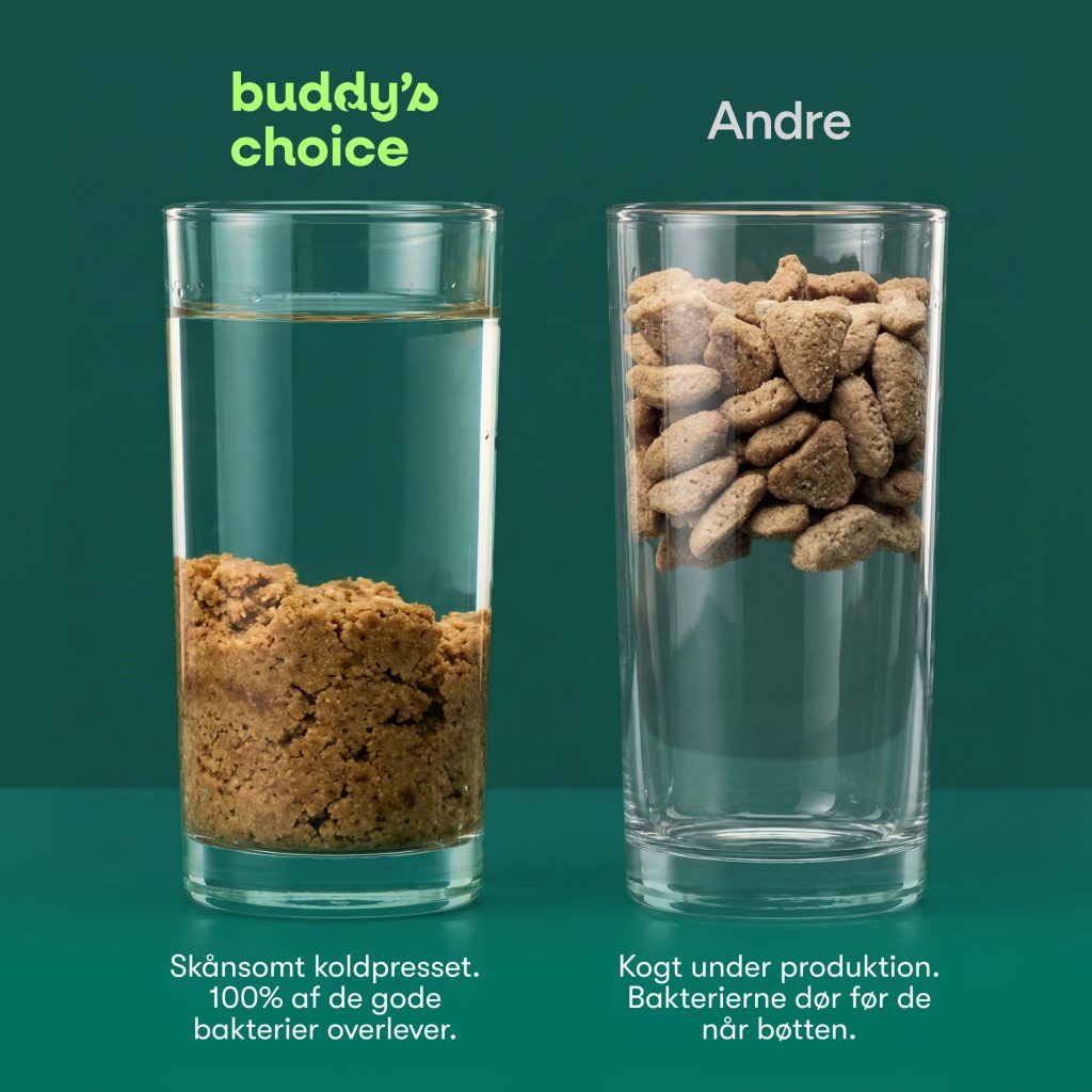 To glas med foderprøver: venstre koldpresset brun masse mærket 'buddy's choice', højre tørre pellets mærket 'Andre'.