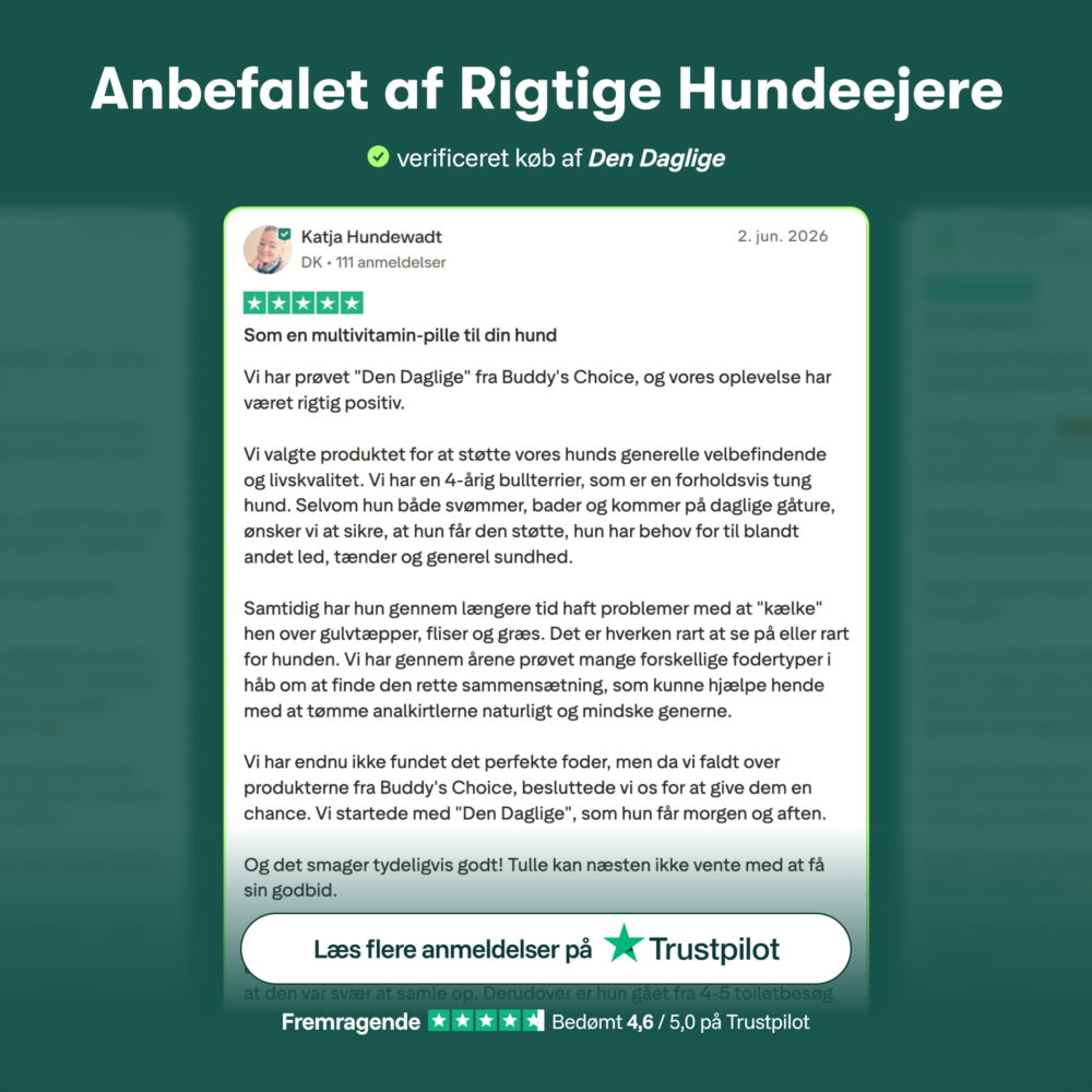 Den Daglige