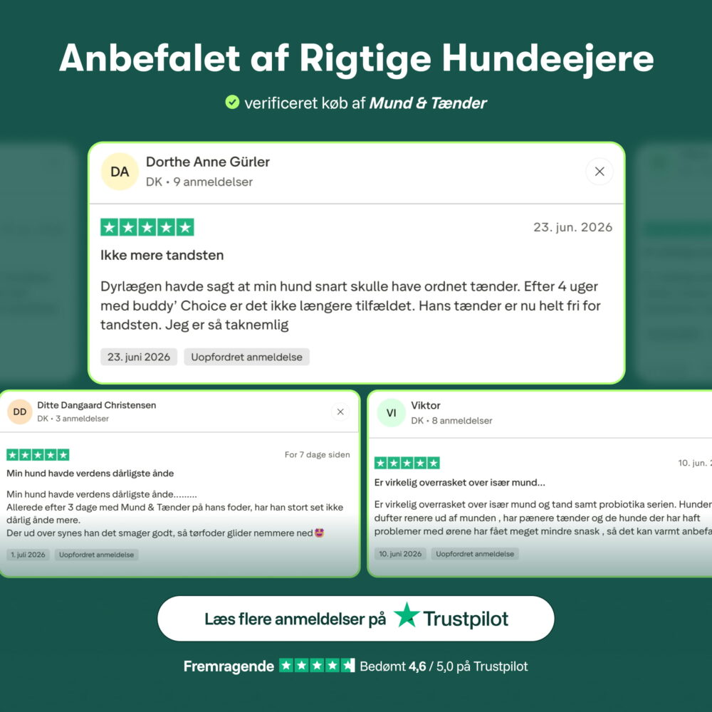 Mund & Tænder