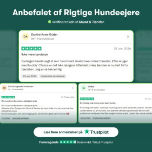 Mund & Tænder
