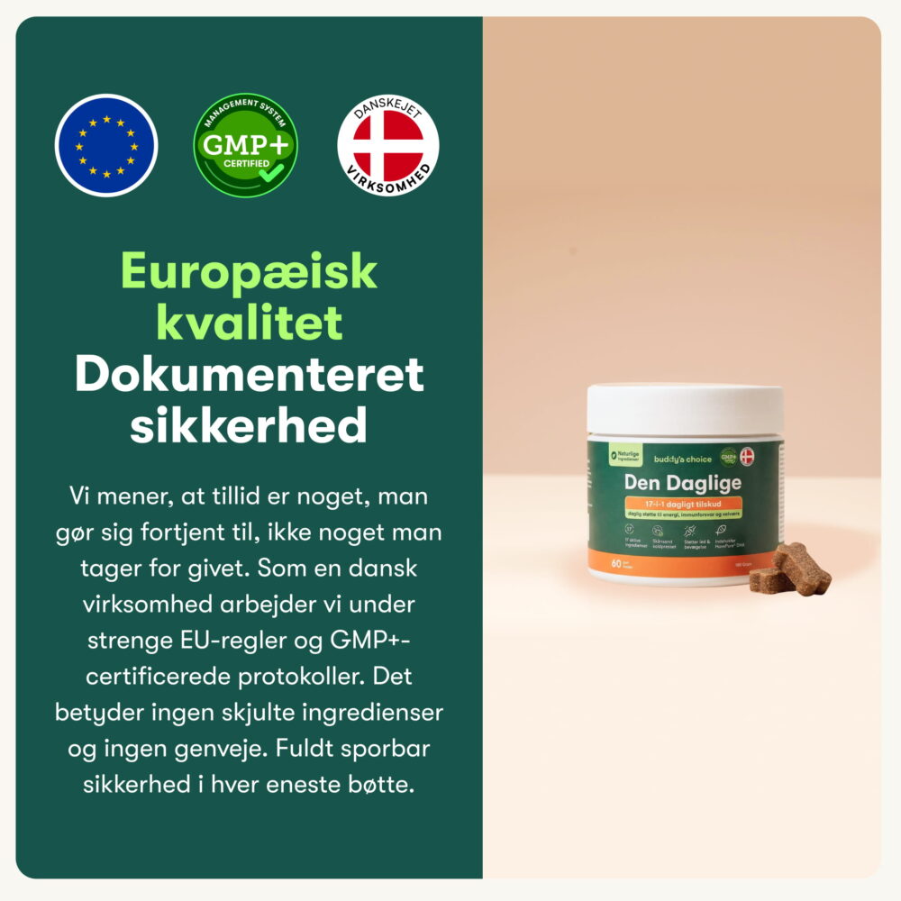 Den Daglige