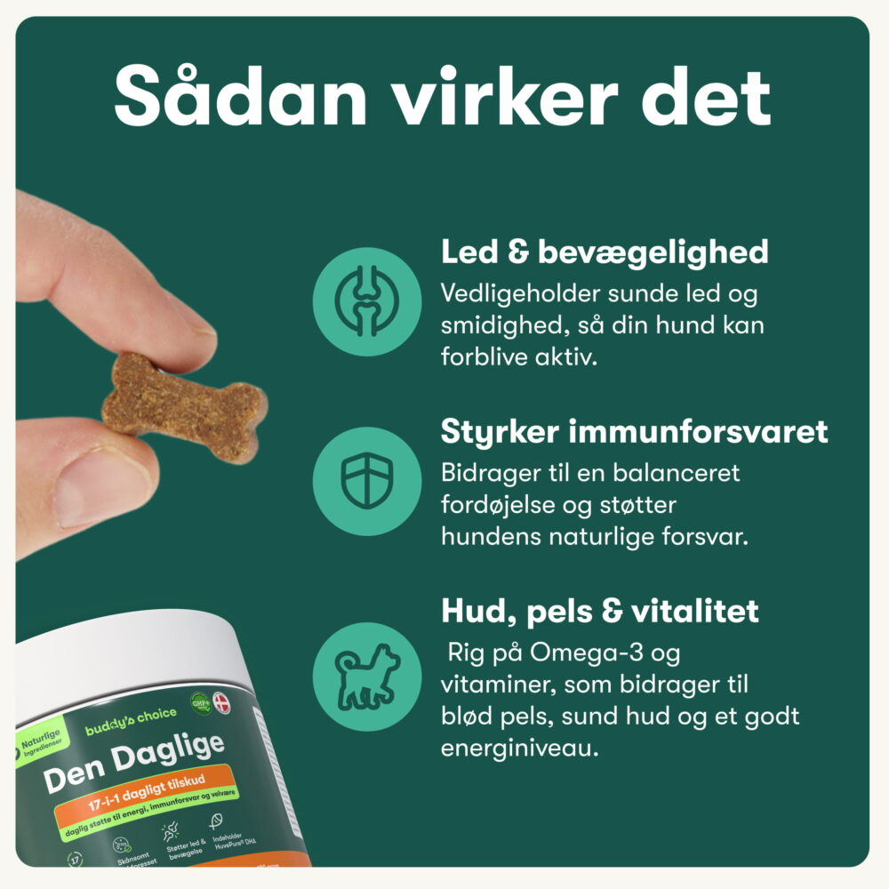 Den Daglige