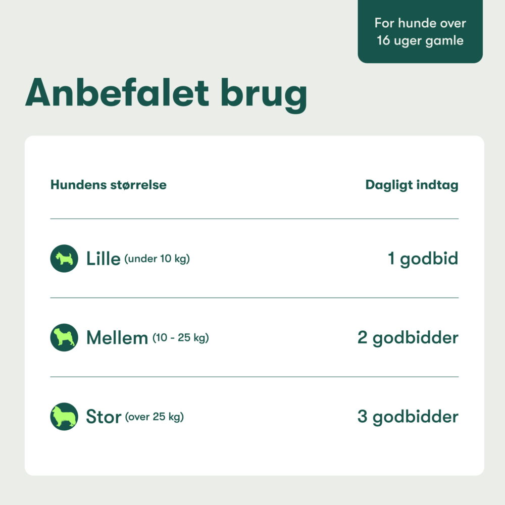Den Daglige