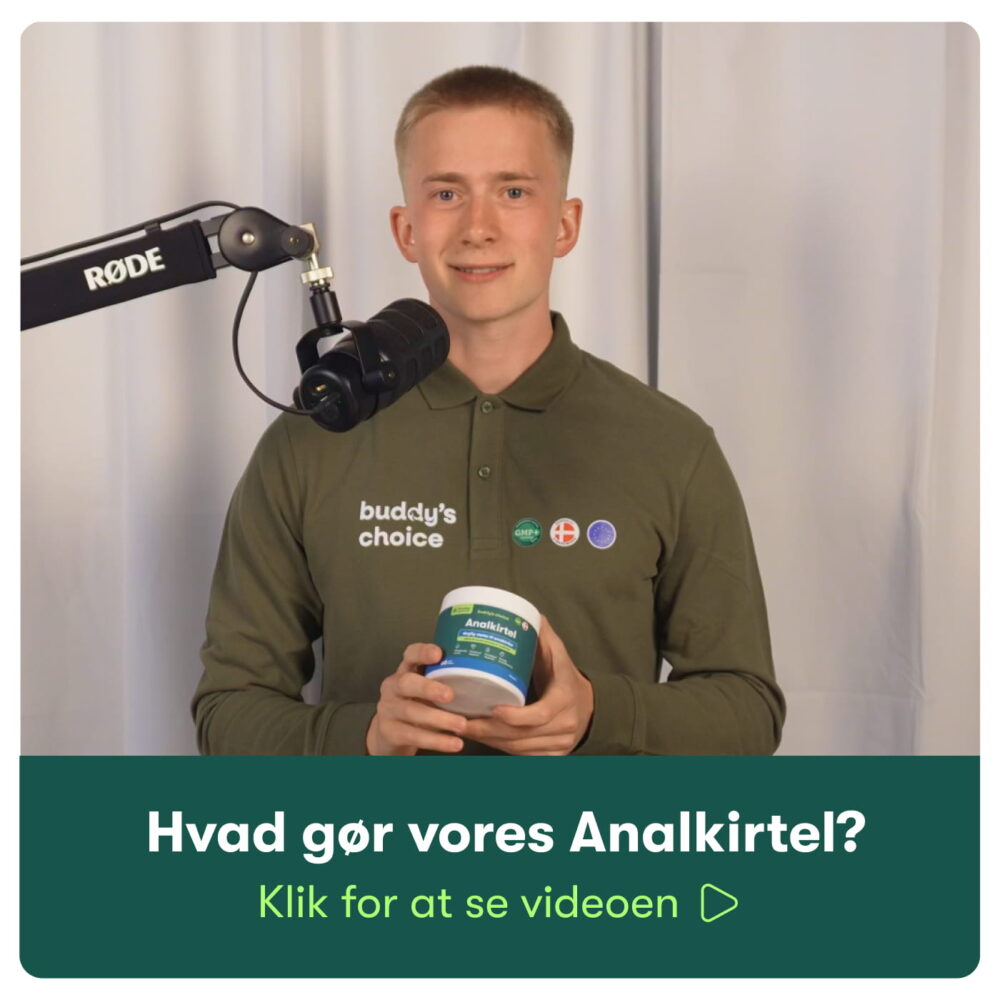 Analkirtel