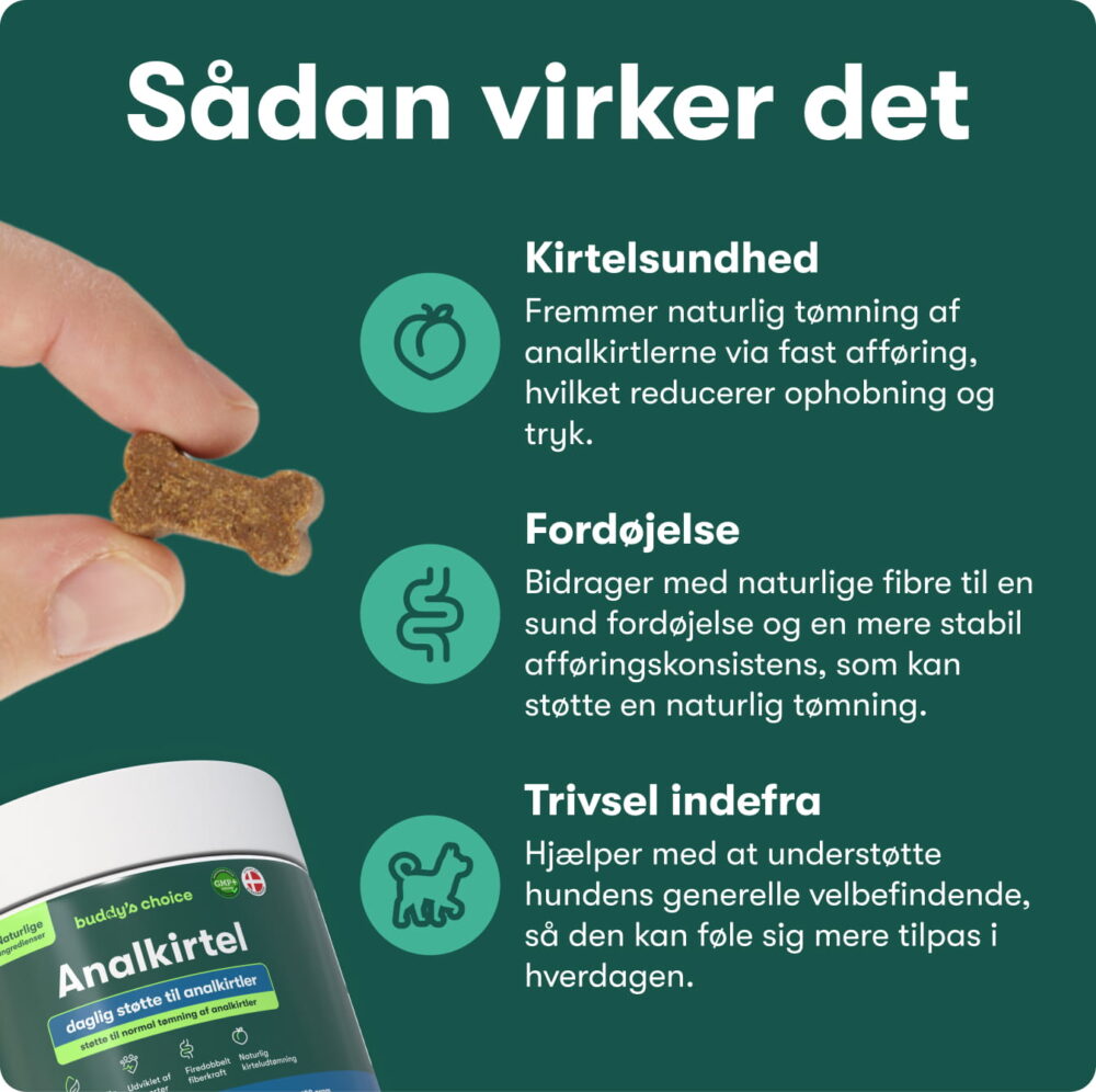 Analkirtel