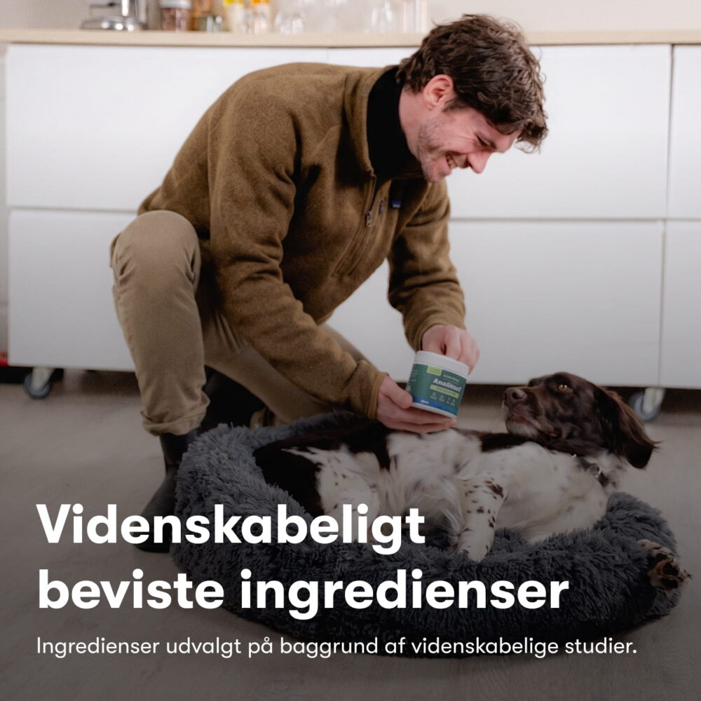 Analkirtel