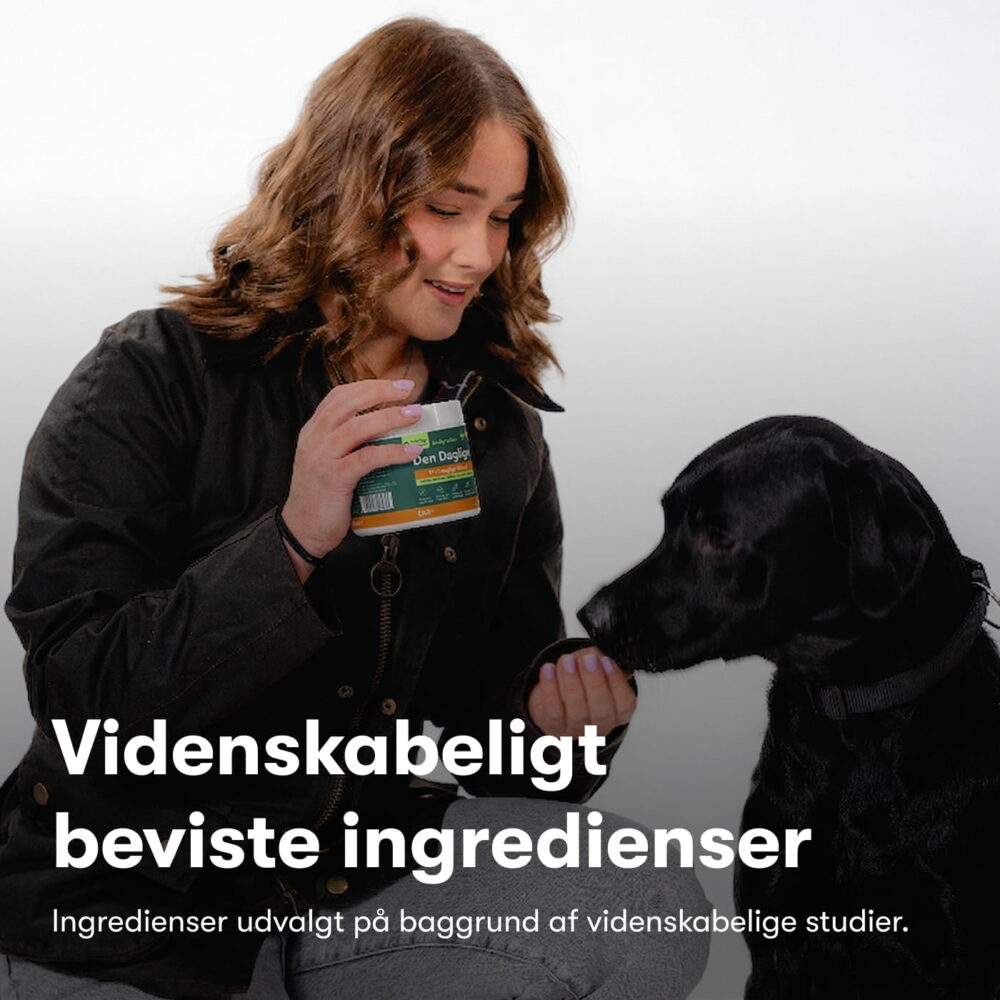 Den Daglige
