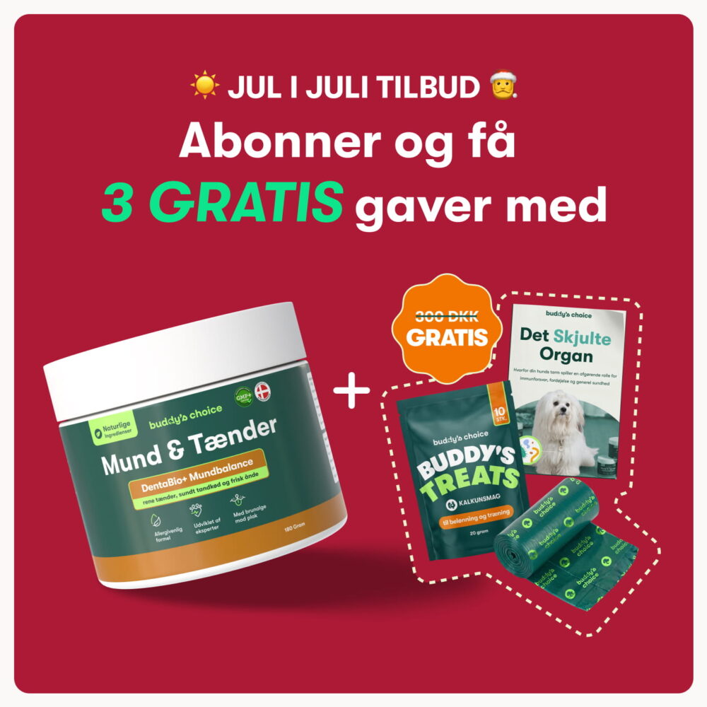 Mund & Tænder