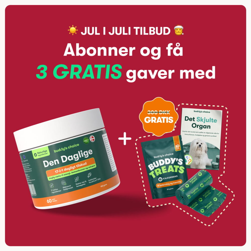 Den Daglige
