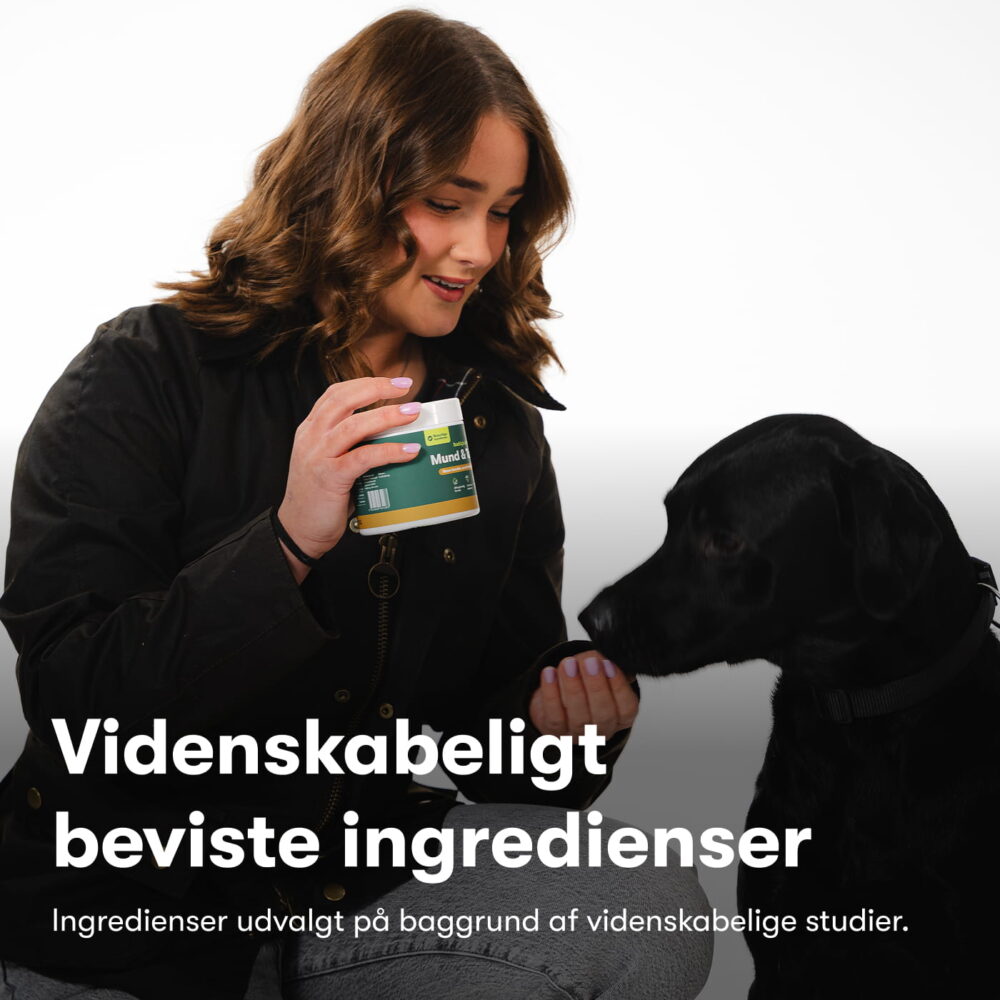 Mund & Tænder
