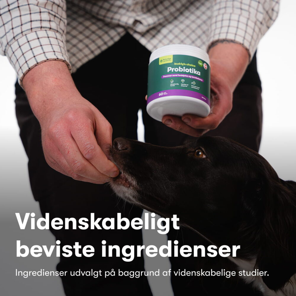 Probiotika+